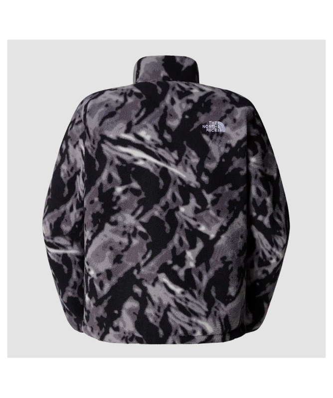 The North Face Fleeski 1/4 Zip Pullover Fleece | Black