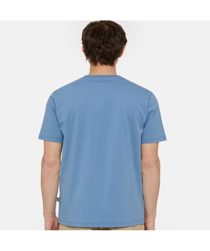 Dickies Mapleton Short Sleeve T-Shirts in blue dk0a4xdbh171