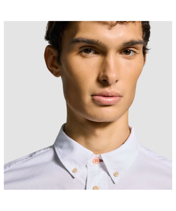 Tシャツ・カットソー Paul Smith FW25 TAILORED FIT SHIRT (M2R 599R PZEBRA 44) Paul Smith Tailored Fit Zebra Shirt | Blue - M2R-599R-P22347