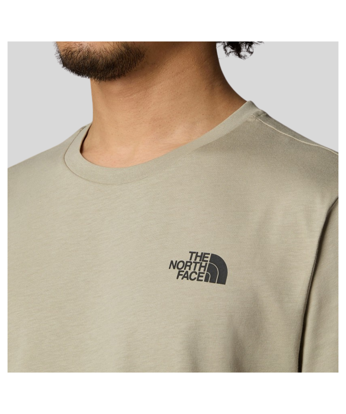最新21 ☆THE NORTH FACE☆ BACk rogo TEE The North Face Men's Redbox Graphic T-Shirt | Grey - NF0A8A3R9IT