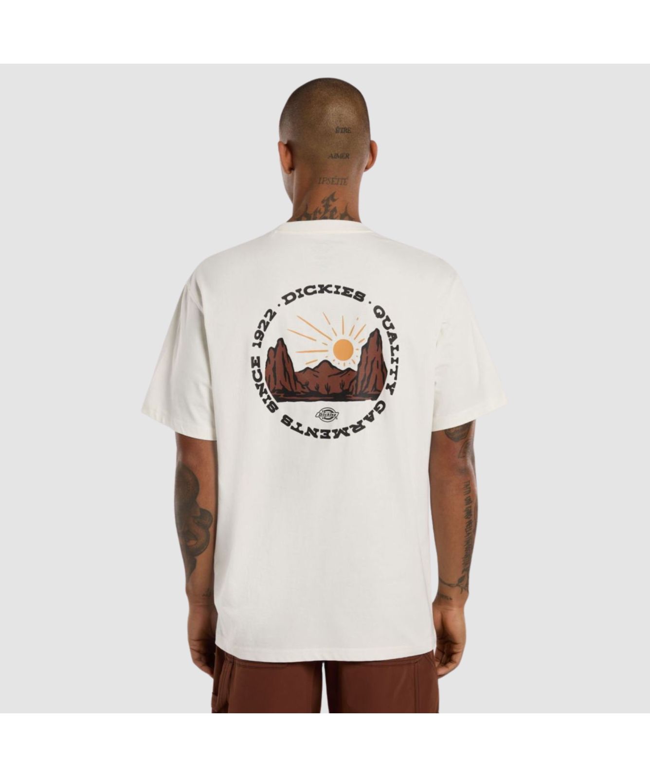 Dickies Outdoor T-Shirt | Black - DK0A4Z8PBLK1, Cream