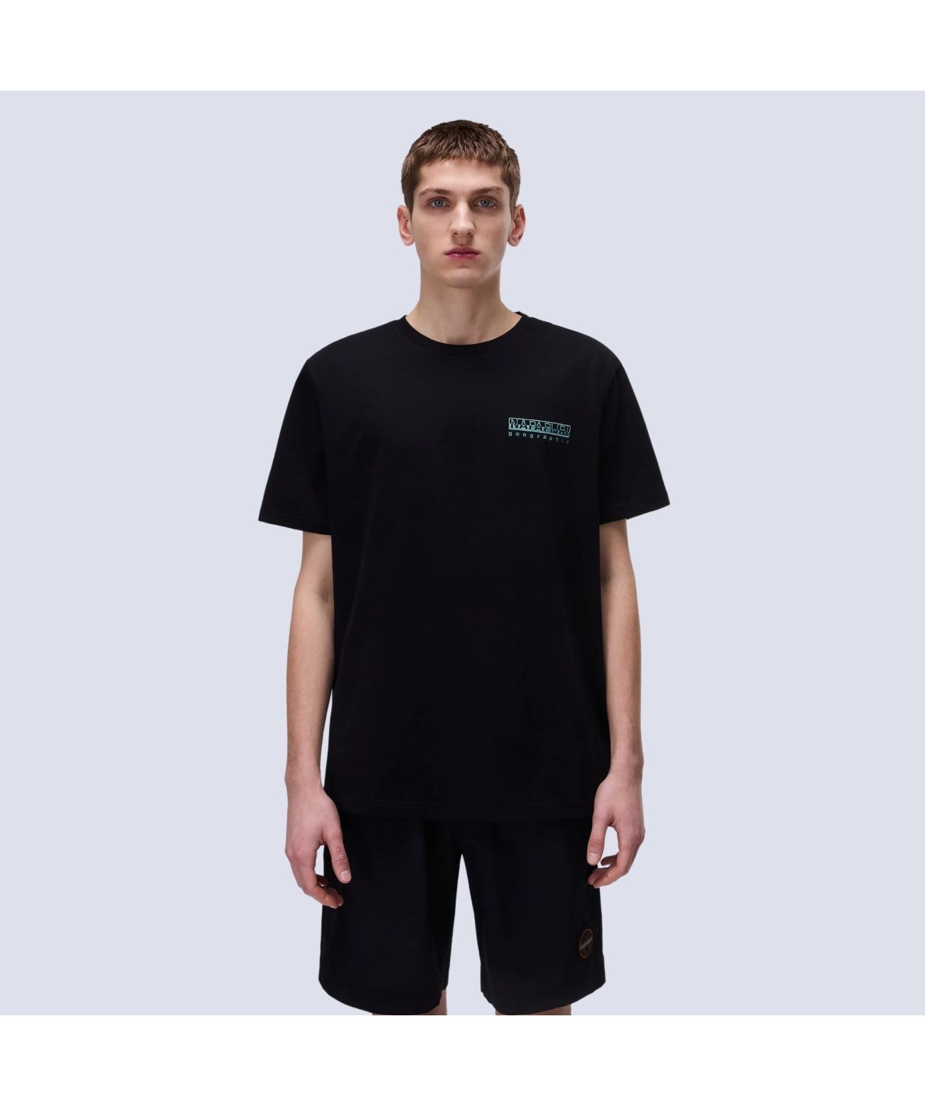 Napapijri Vignoni Back Print T-Shirt | Black-NP0A4ILX9411