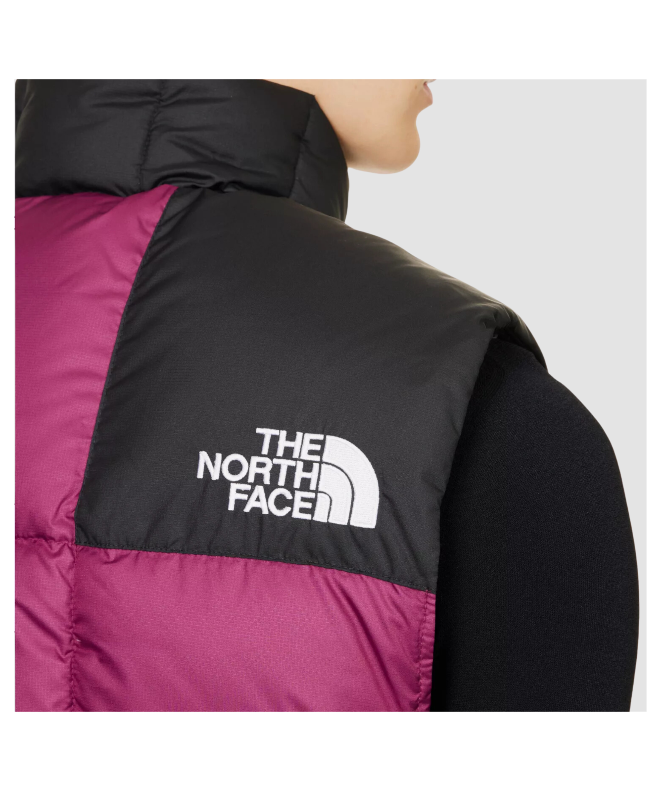 The North Face Men's Lhotse Vest | Black - ﻿NF0A853DJK3, Purple