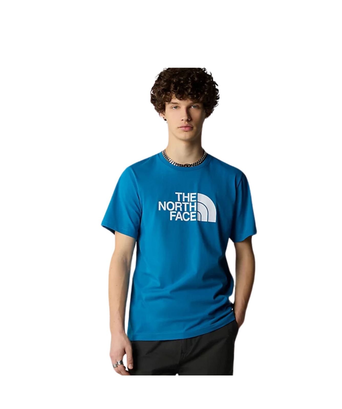The North Face Easy Men's T-Shirt in emerald green