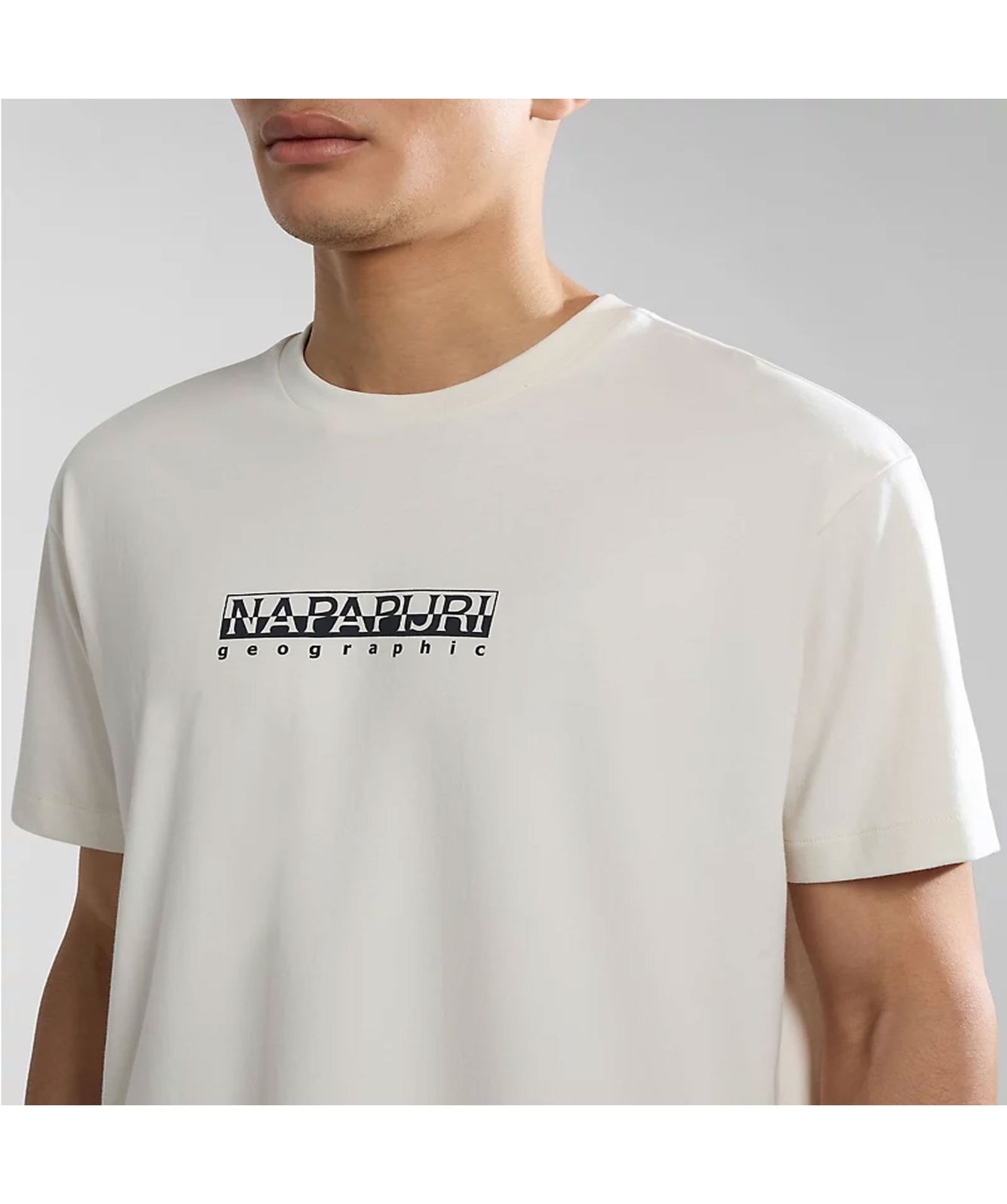 Napapijri Men's Box Logo T-Shirt in Medium Grey Melange Napapijri