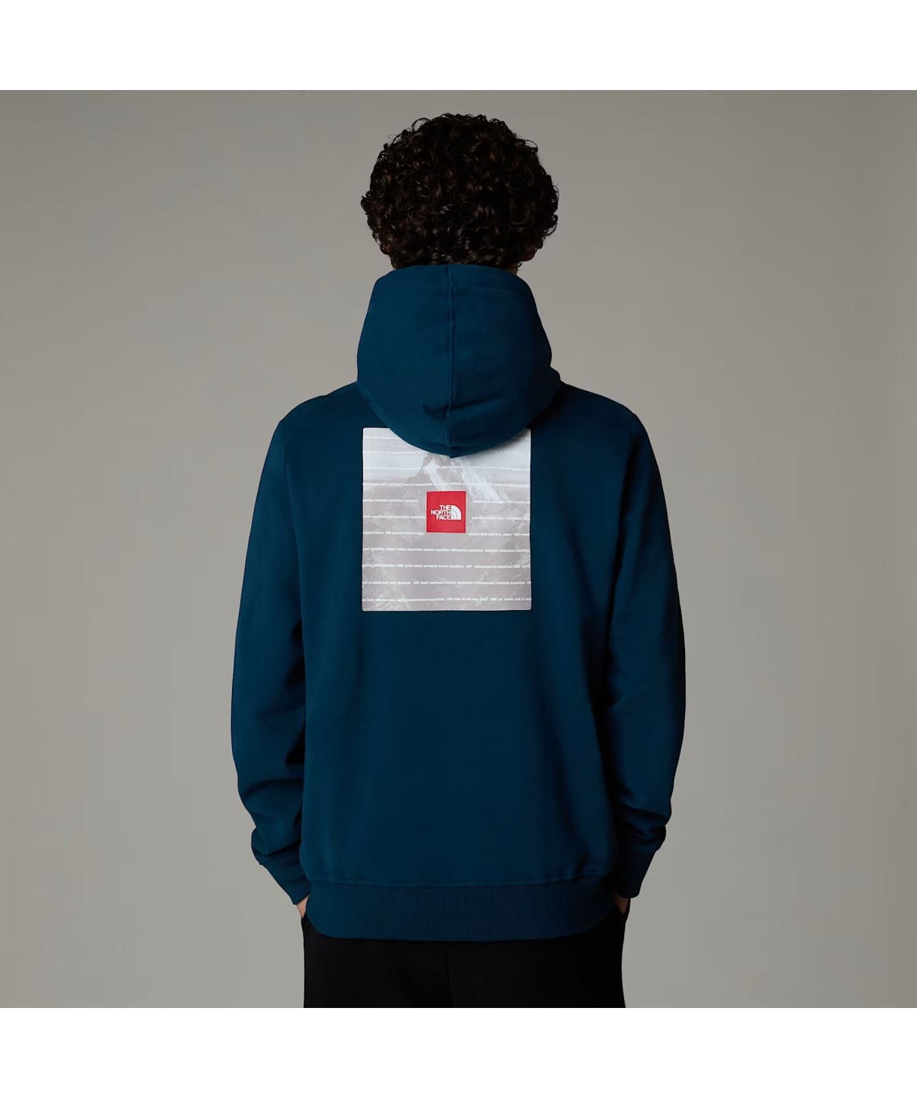 Graphic Hoodie The North Face Square Logo Hoodie North Face Box 
