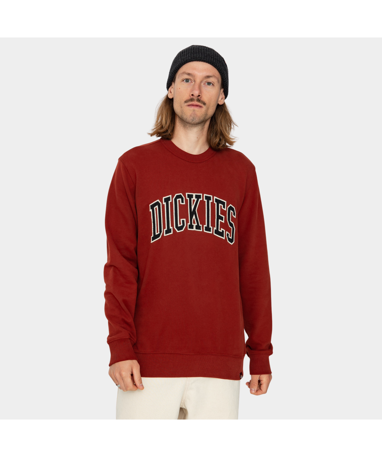 Dickies Aitkin Crew Neck Sweatshirt | (DK0A4XAB) Teal-E64