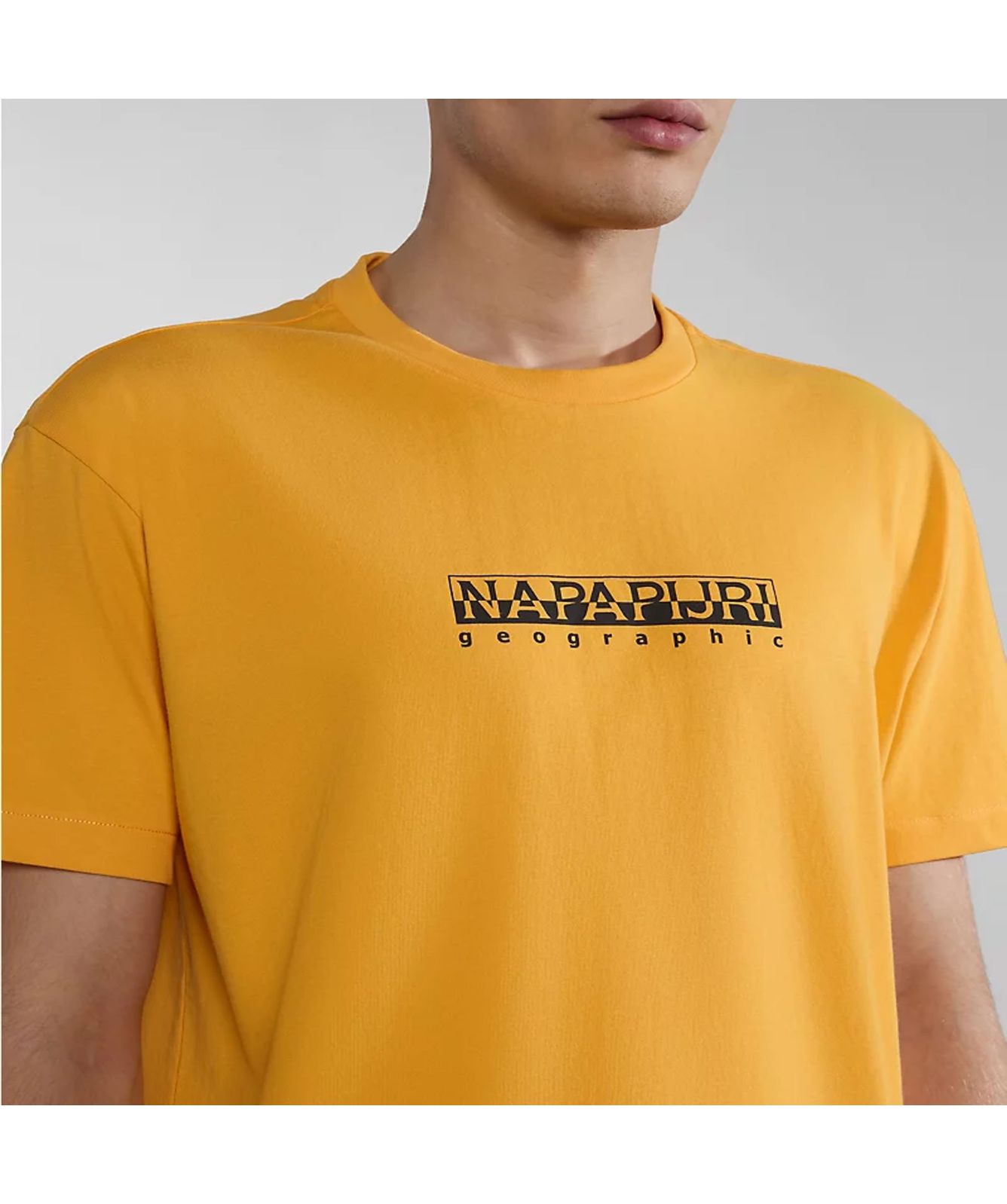NAPAPIJRI Box Logo T-Shirt Manica Corta Taglia L: Maglietta Basic E Comoda Per Uomo, Cotone Morbido - 3