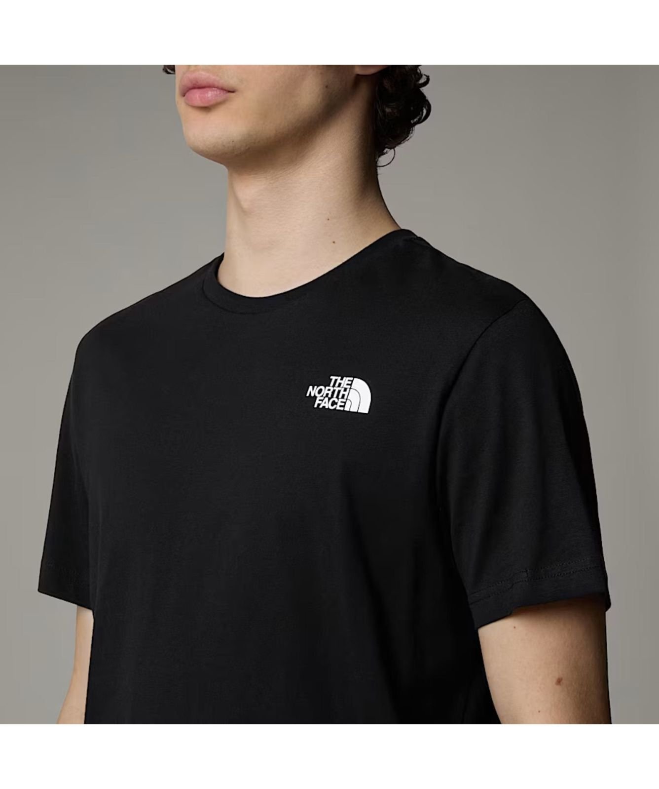最新21 ☆THE NORTH FACE☆ BACk rogo TEE The North Face Men's Redbox Graphic T-Shirt | Grey - NF0A8A3R9IT