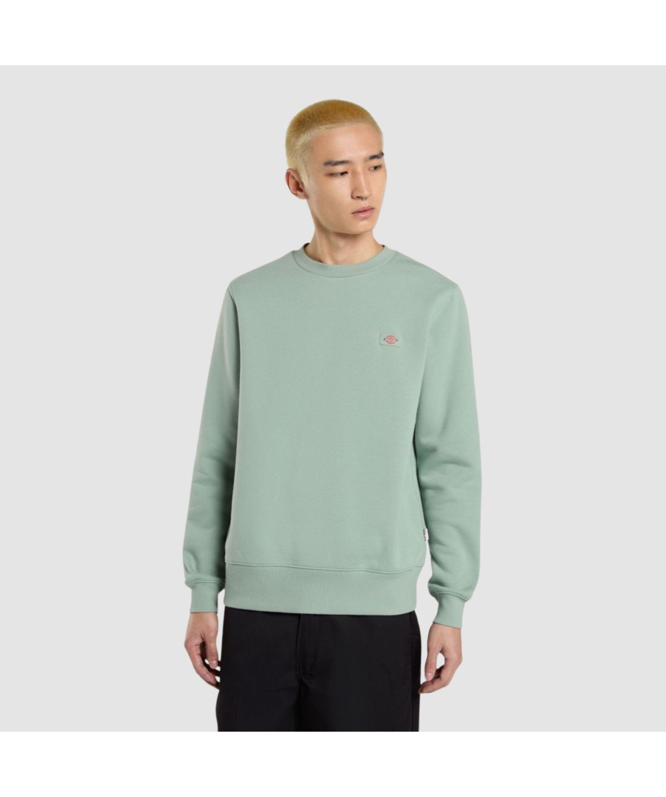 Dickies Oakport Crew Neck Sweatshirt | Teal-DK0A4XCEK361, Lilac