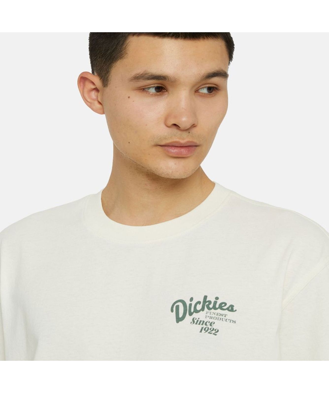 Tシャツ・カットソー DICKIES Men T-shirt White DK0A4XDB WHX1 Tシャツ・カットソー DICKIES Men T-shirt White DK0A4XDB WHX1