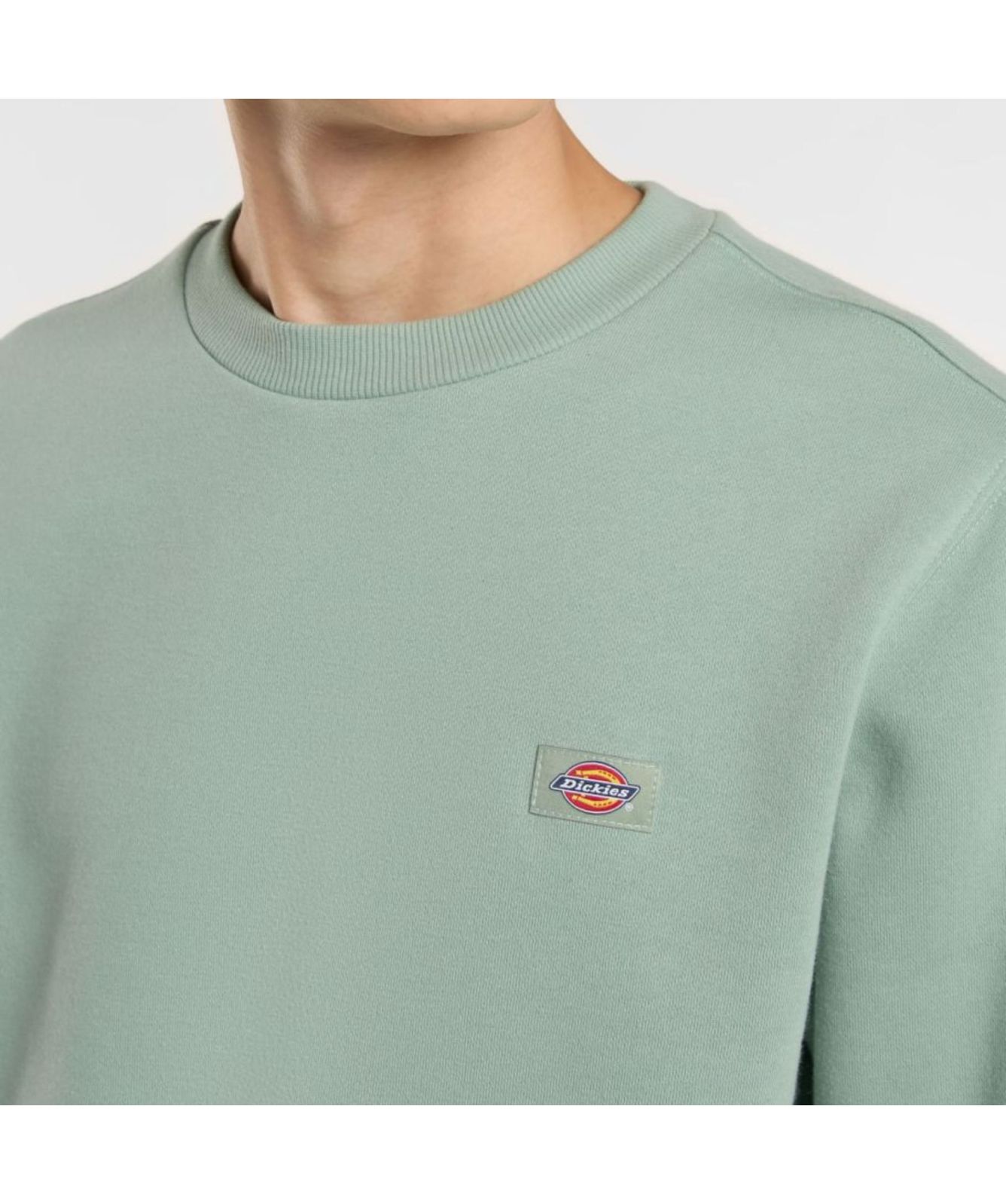Dickies Oakport Crew Neck Sweatshirt | Teal-DK0A4XCEK361, Lilac