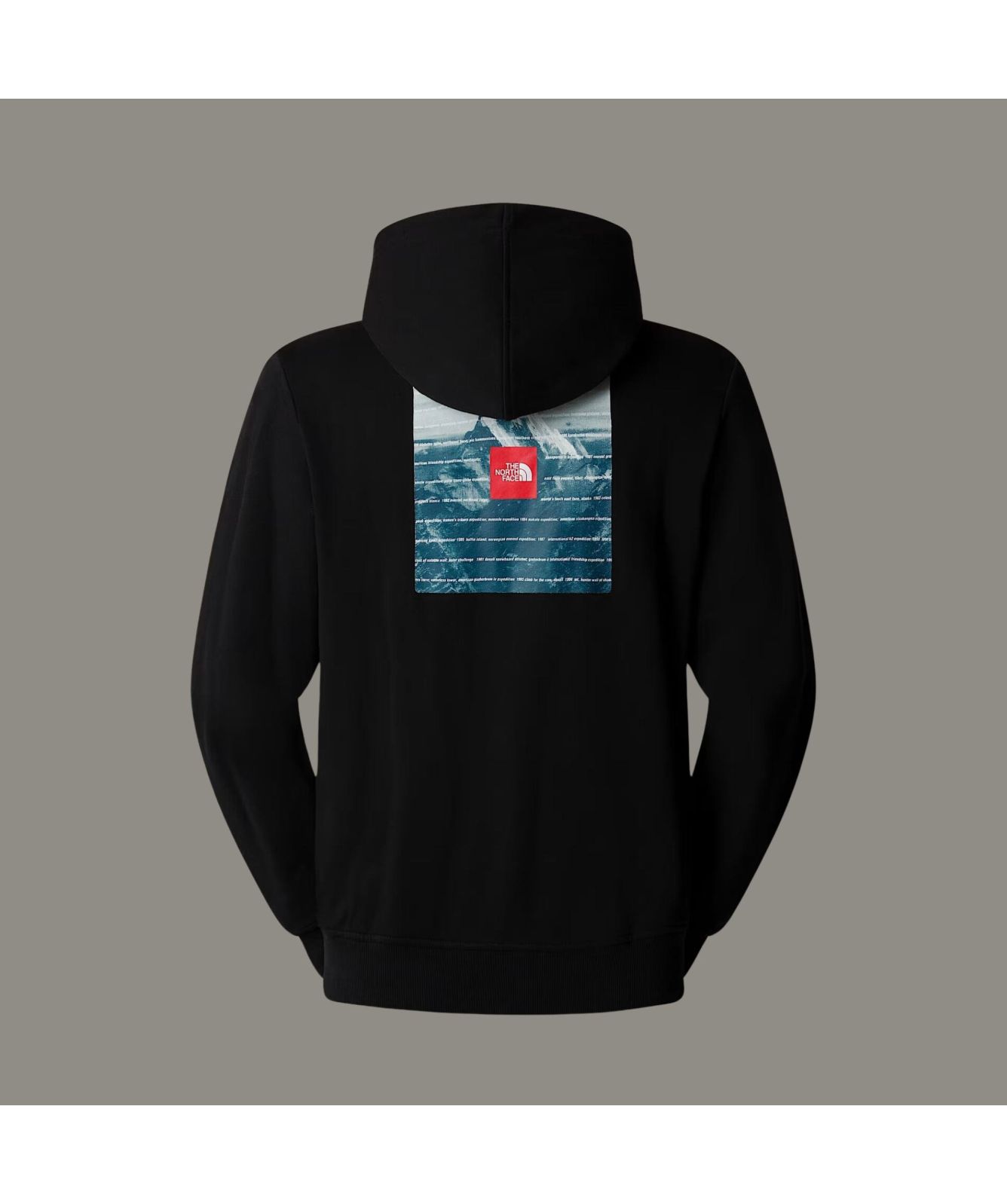 the north face graphic hoodie