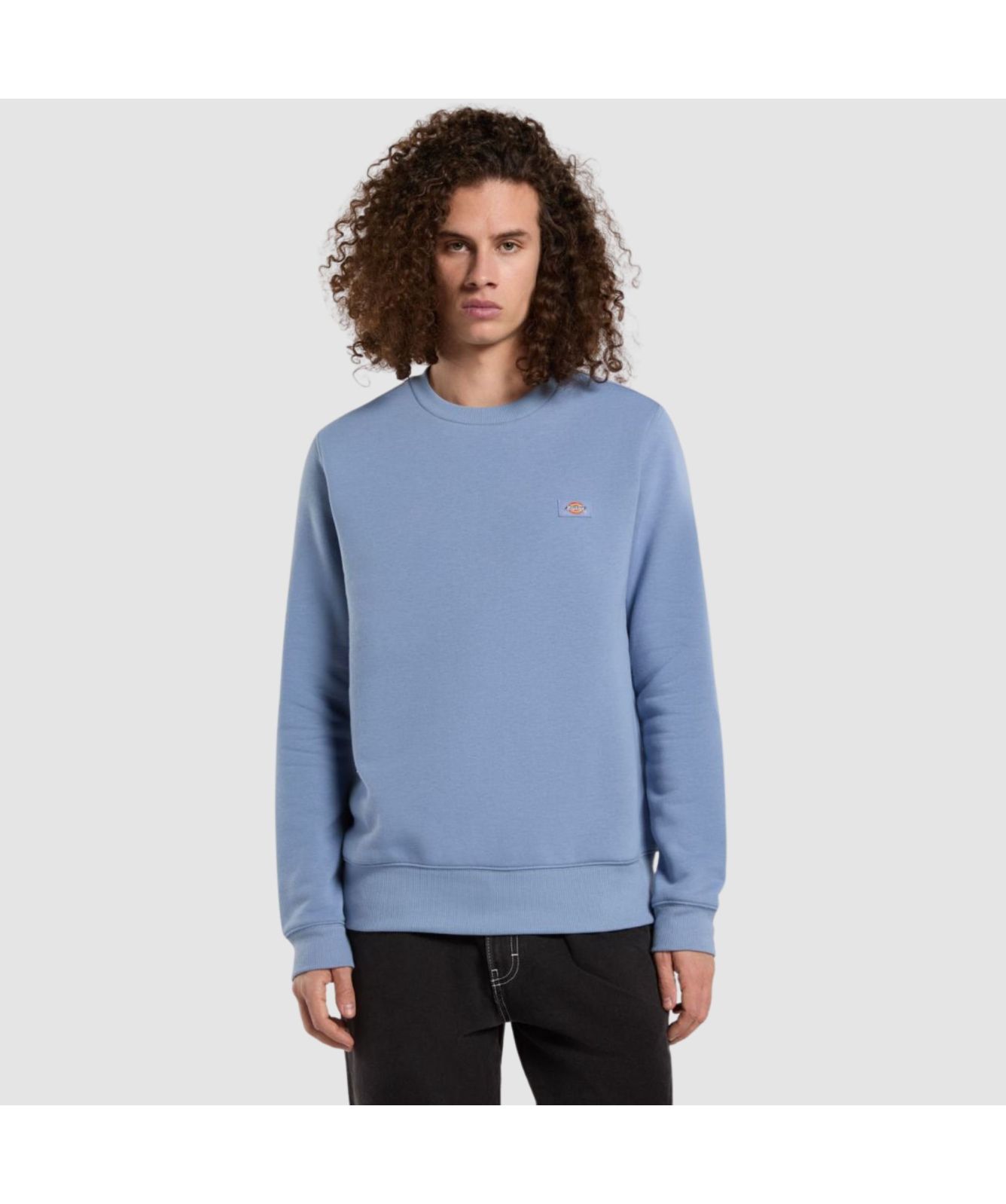 Dickies Oakport Crew Neck Sweatshirt | Teal-DK0A4XCEK361, Lilac