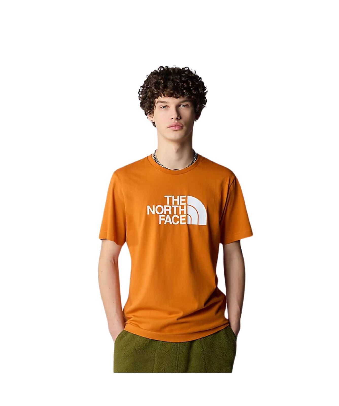 The North Face Easy Men's T-Shirt in emerald green