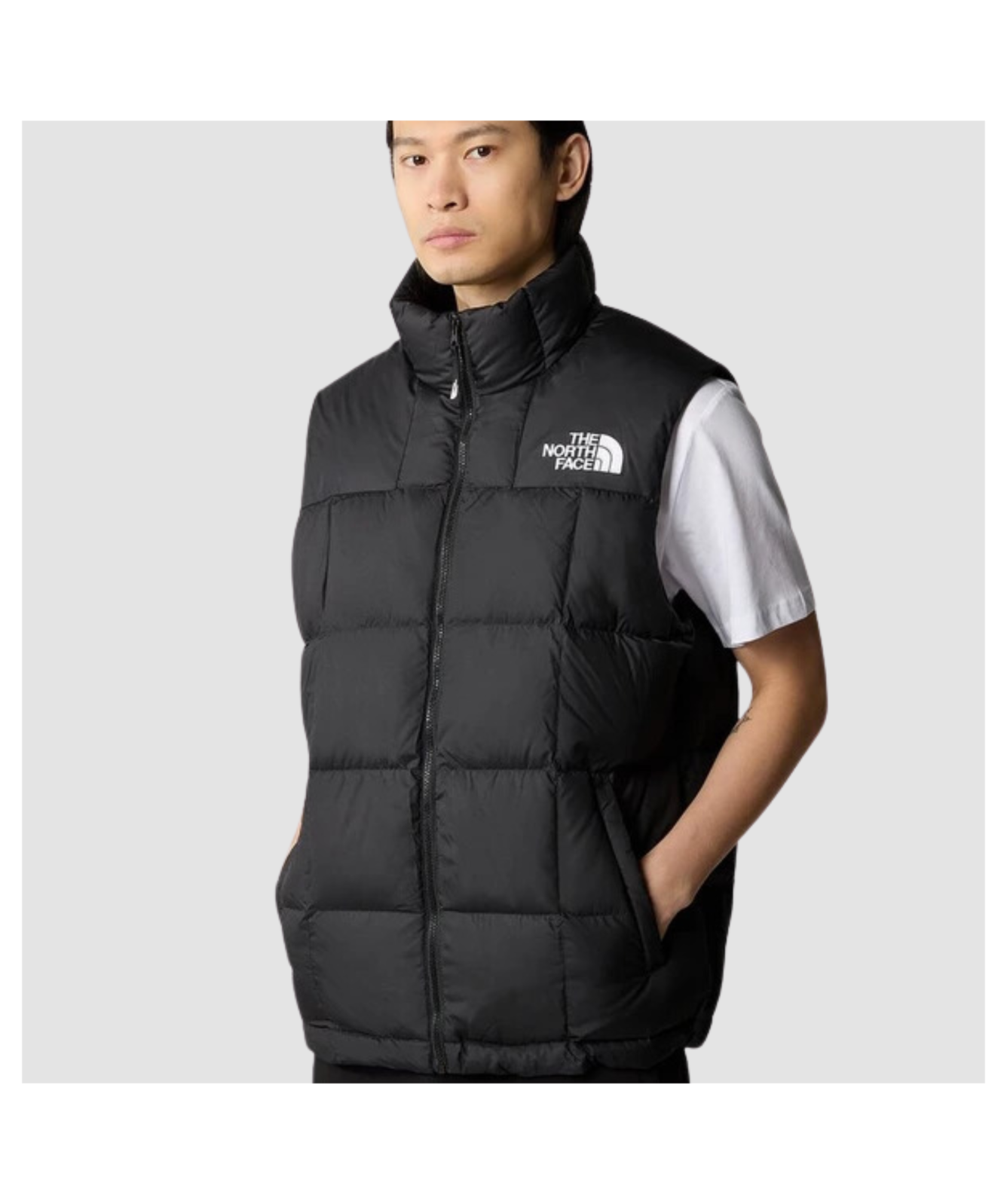 The North Face Men's Lhotse Vest | Black - ﻿NF0A853DJK3, Purple