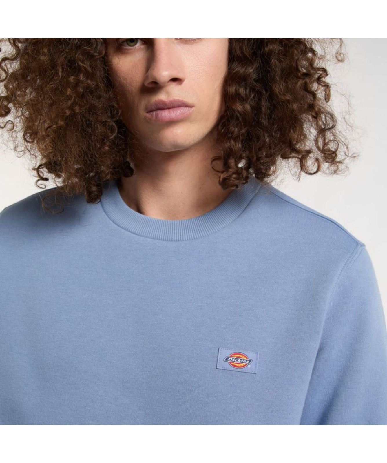 Dickies Oakport Crew Neck Sweatshirt | Teal-DK0A4XCEK361, Lilac
