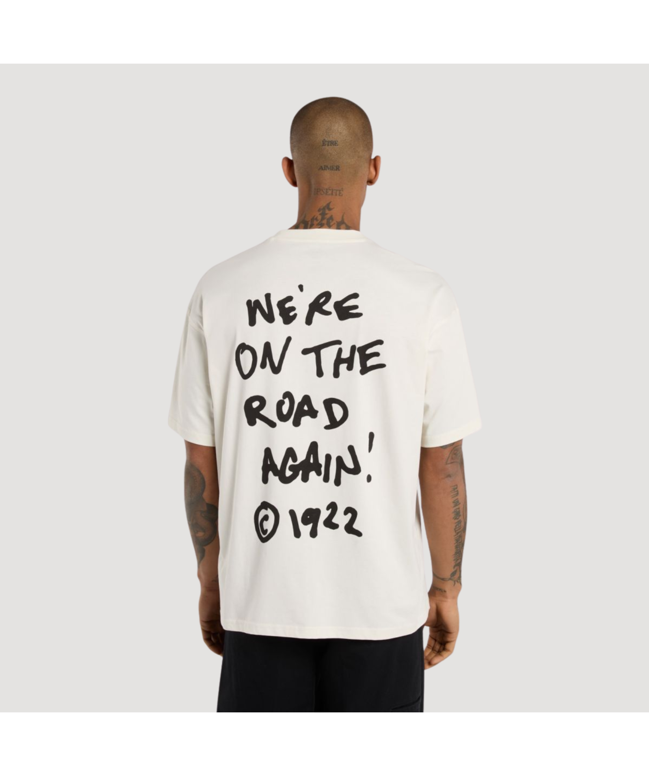 Dickies Sneedville Light Weight T-Shirt | Cream - DK0A87Q0C481
