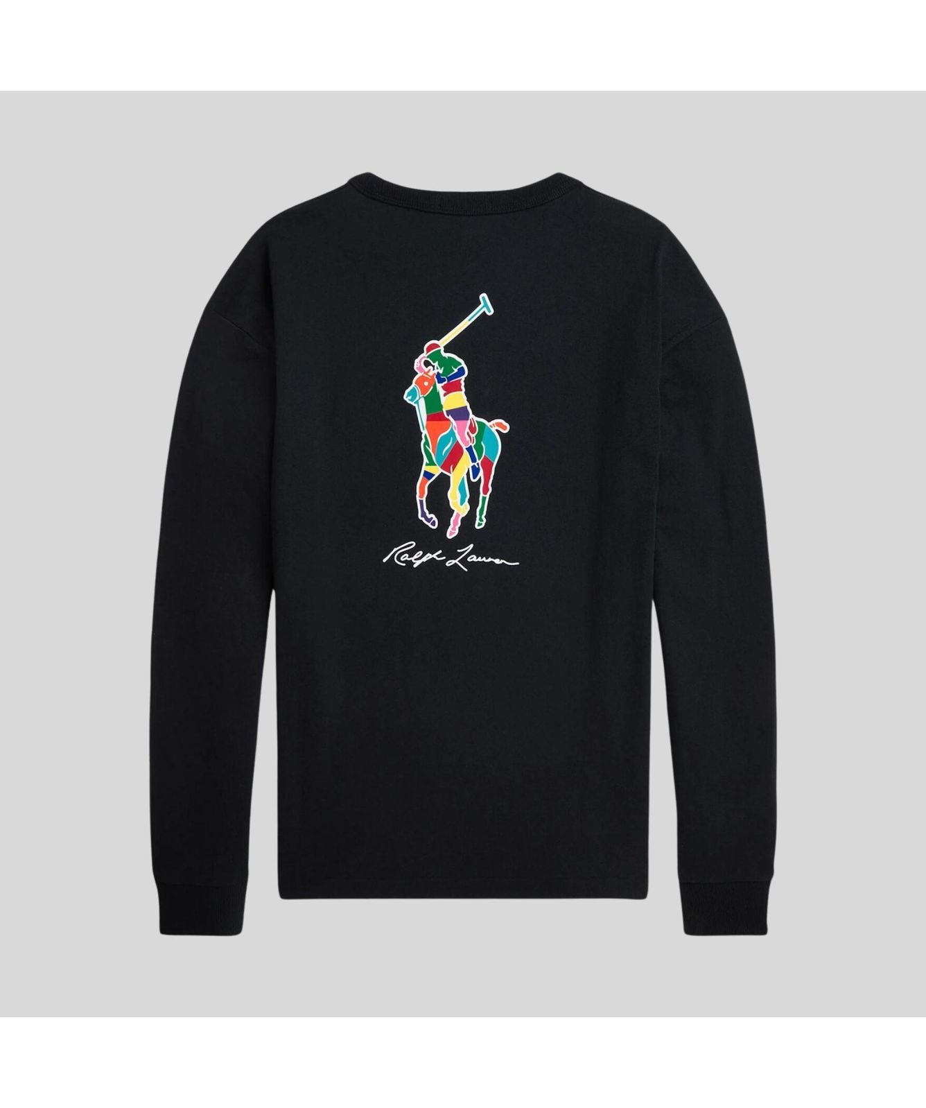Polo Ralph Lauren Relaxed Fit Colourfull Logo Crew Neck