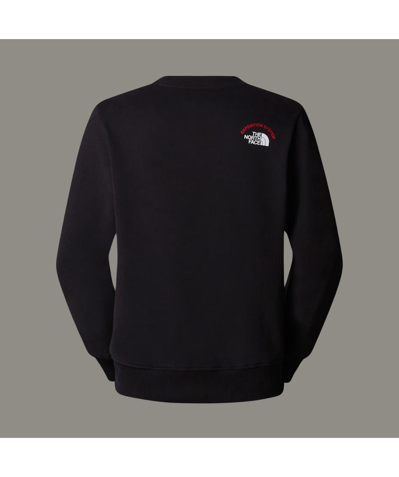 THE NORTH FACEナイロン ロンＴALBANY CREWNECK The North Face Crew Neck Expedition System Graphic | Black