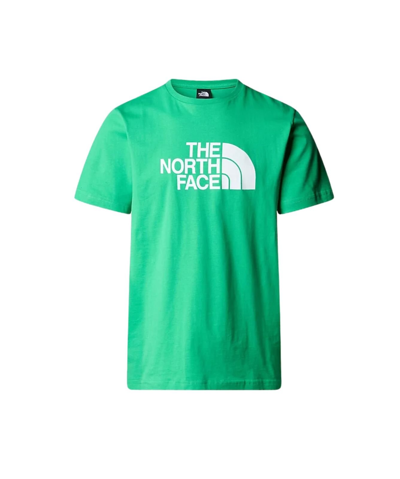 The North Face Easy Men's T-Shirt in emerald green