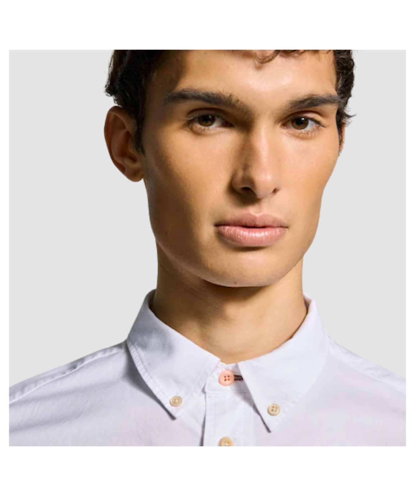 Tシャツ・カットソー Paul Smith FW25 TAILORED FIT SHIRT (M2R 599R PZEBRA 48) Paul Smith Tailored Fit Zebra Shirt | Blue - M2R-599R-P22347