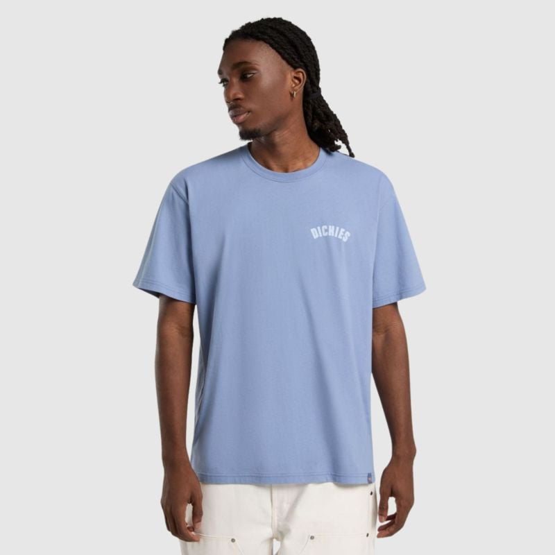 Dickies Circle Logo Graphic T-Shirt | Blue-DK0A4Z95K371